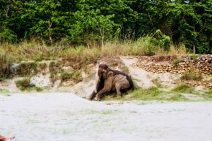 Sundowners at Tiger Tops Tharu Lodge, Chitwan National Park