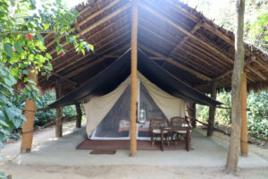 Tiger Tops Tharu Lodge, Chitwan National Park