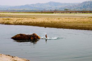 Sundowners at Tiger Tops Tharu Lodge, Chitwan National Park
