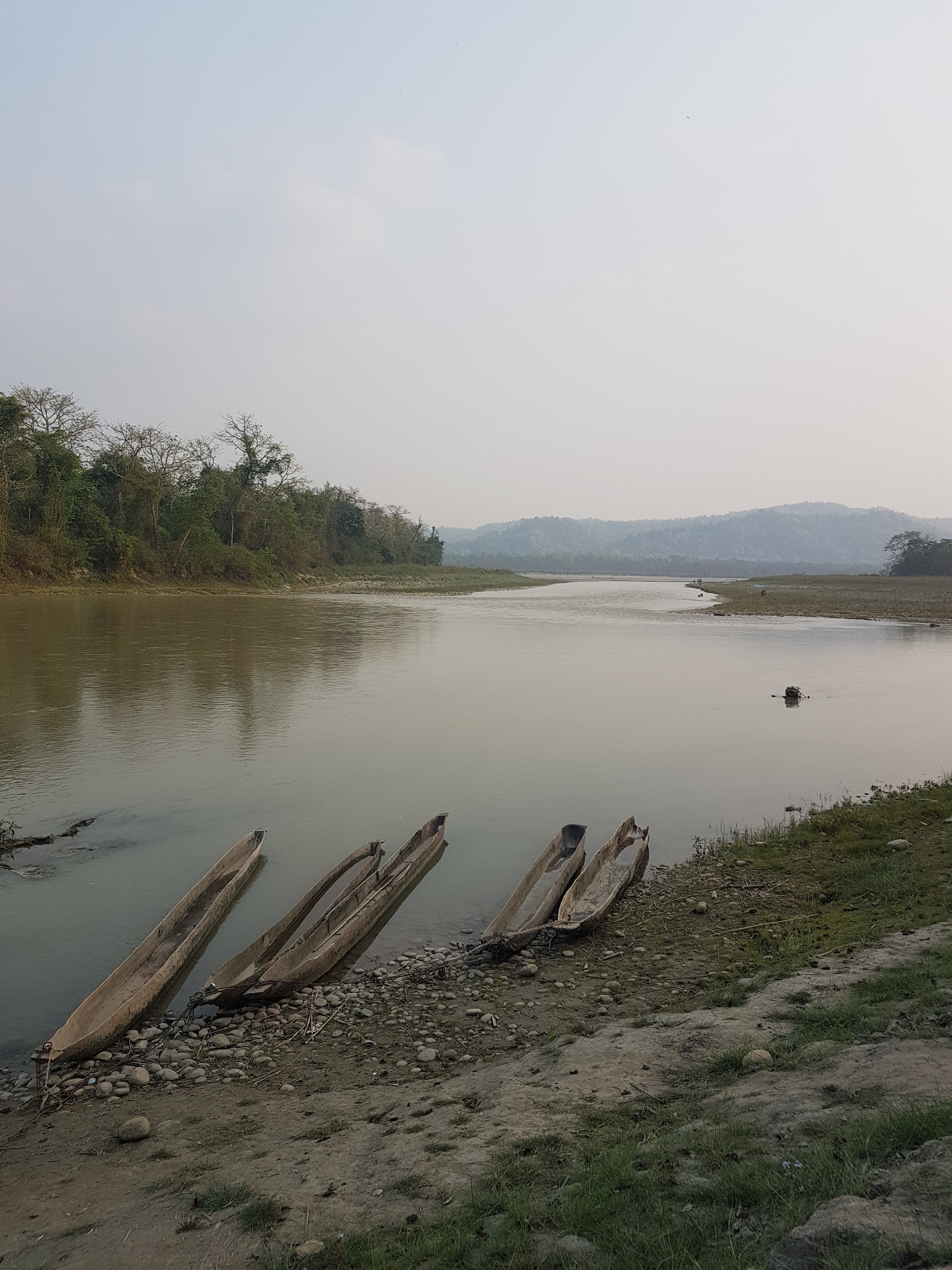 Chitwan National Park, Nepal