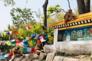 Swayambhunath 'the Monkey temple', Kathmandu