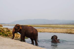 Sundowners at Tiger Tops Tharu Lodge, Chitwan National Park