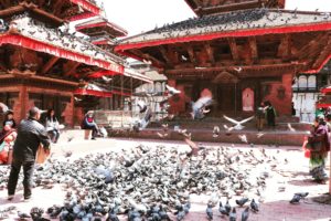 Feeding the birds to ensure good karma. Durbar Square, Kathmandu