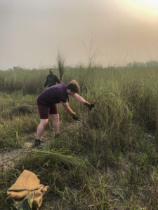 Cutting elephant grass at Tiger Tops Tharu Lodge, Chitwan National Park