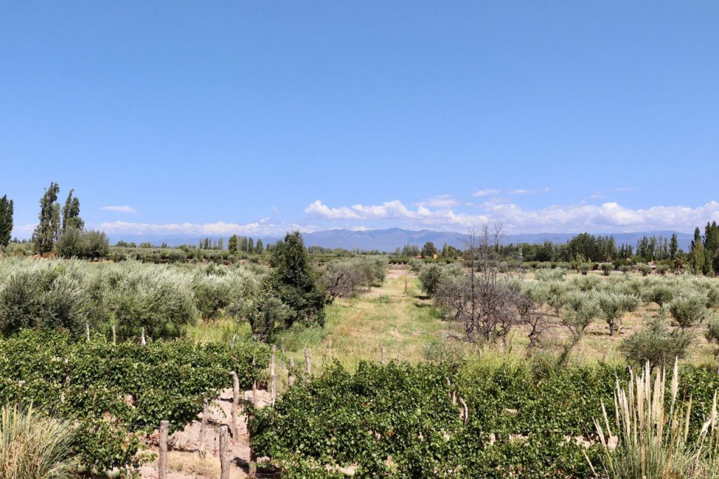 Mendoza