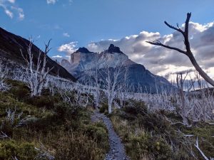 Torres del Paine